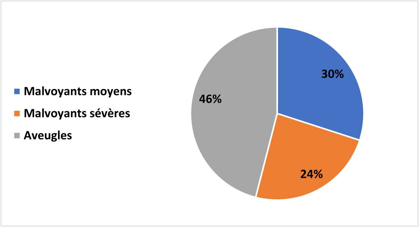 graphique 1 profil repondant